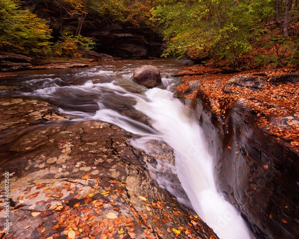 Obraz waterfall in autumn forest