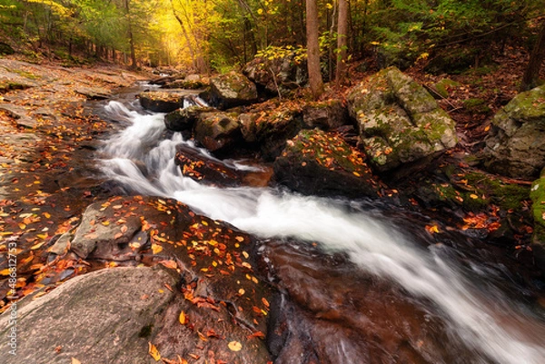 Obraz waterfall in autumn forest