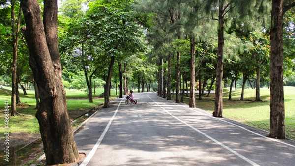 Obraz Children ride bicycles in a quiet park with shady roads and tall trees in the big city.