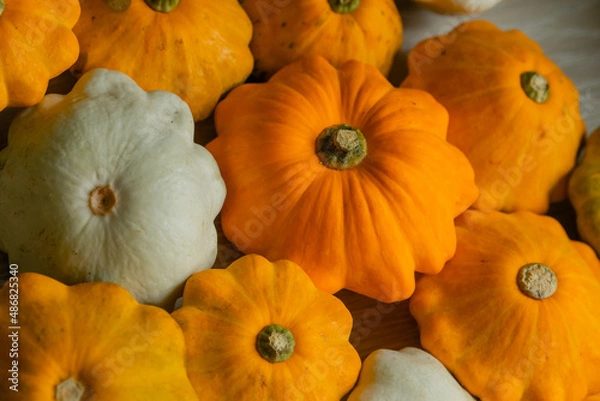 Fototapeta Squash lies on a yellow background. Orange pumpkin patissons lie on the table for the autumn season.