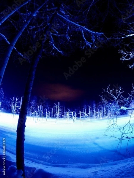 Fototapeta 青い池のライトアップ