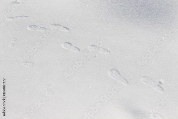 Fototapeta 足跡