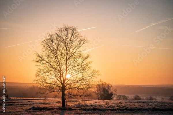 Fototapeta Lüneburger Heide