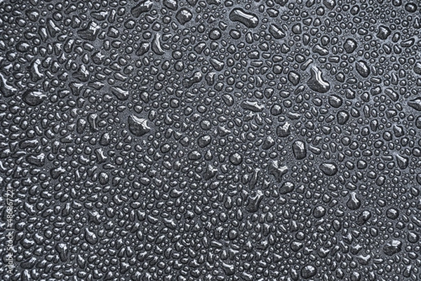 Fototapeta Drops, drips, blobs, beads, dribbles of water on the black teflon surface. Monochrome black and white macro or closeup background or texture