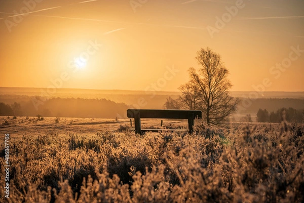 Obraz Lüneburger Heide