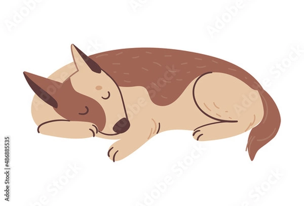 Obraz The dog is sleeping. Spotted fluffy dog. Vector illustration in a flat style.