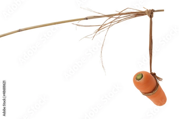 Obraz 馬に人参のイメージ