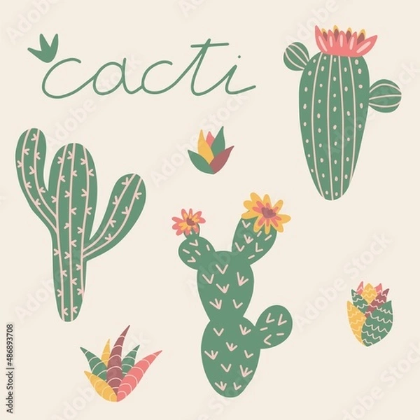 Fototapeta Set of cacti in cute style with lettering. Perfect for typography poster, card, label, brochure, flyer, page