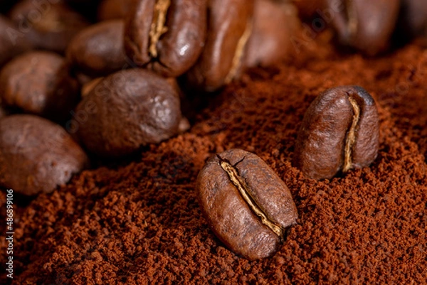 Obraz Coffee beans on ground coffee background