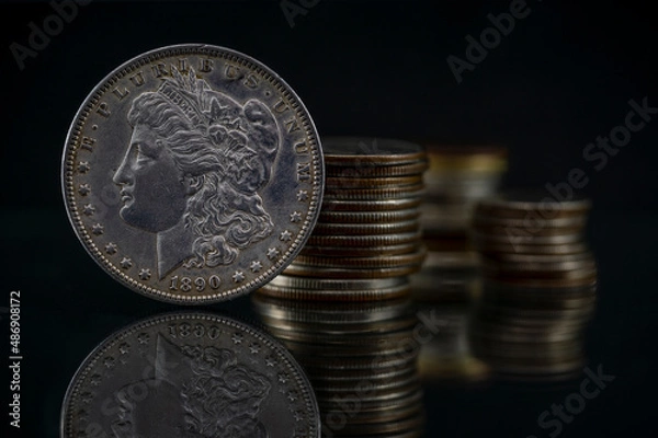 Fototapeta US Morgan Liberty Dollar 1890 Coin Stacks Blurred Background Reflection Reflection Macro