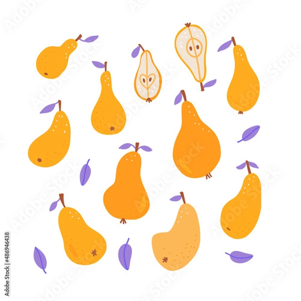Fototapeta Big set with pear and pears slices with leaves. Hand drawn elements fruits core and half of pear. Flat vector illustratoins collection.