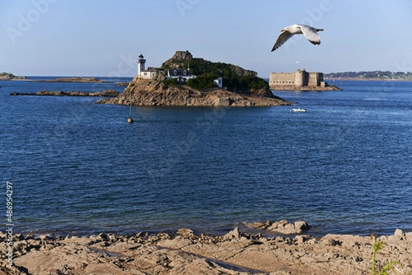 Obraz Flight over Houet Island