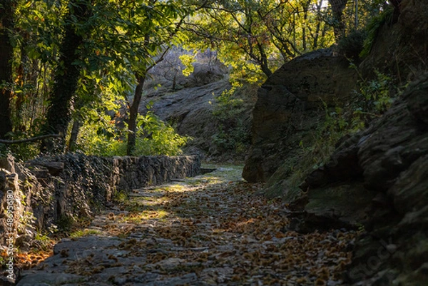 Obraz Via Francigena