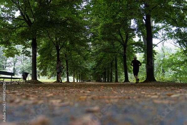 Obraz Viale nel Parco
