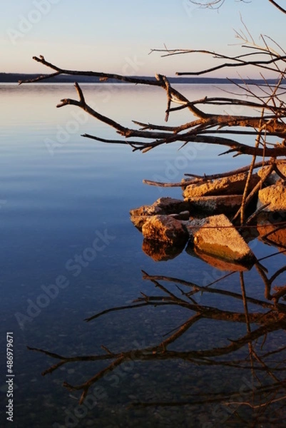 Fototapeta Water Reflections from Branches In The Water from Lake Starnberg in Bavaria February 2022
