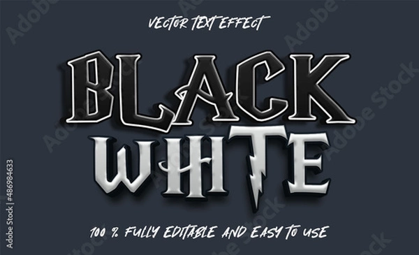 Obraz BLACK WHITE VECTOR TEXT EFFECT