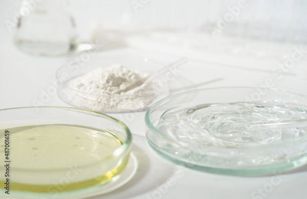 Fototapeta laboratory petri dishes with growth medium or culture medium and powder on a table. cosmetic testing in a lab, making ingredients safe.