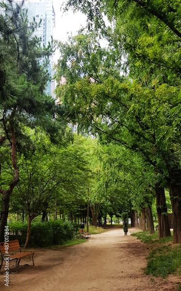 Obraz Park, spring, summer, forest, lake