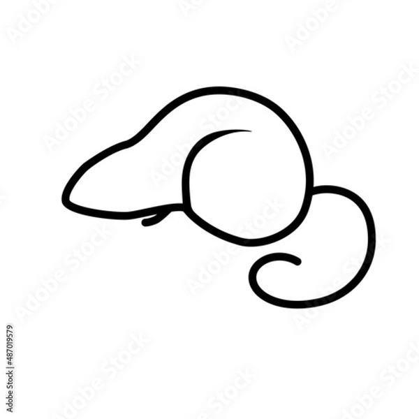 Fototapeta Rat black line art icons. Linear style isolated on white. Vector illustration.