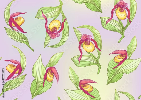 Fototapeta Lady's slipper orchid, Cypripedioideae, Seamless pattern, background. Vector illustration. In botanical style