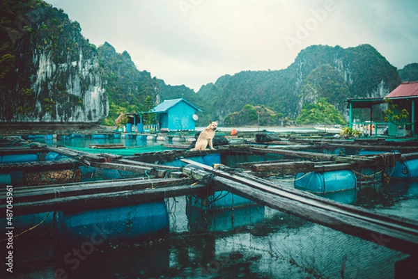 Obraz lake in the mountains