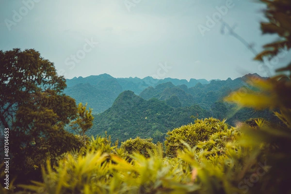 Obraz landscape with trees and clouds