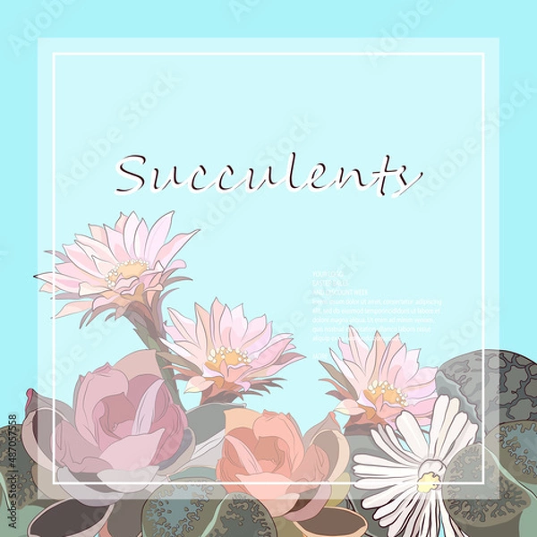 Fototapeta Square frame from succulents. Making booklets, postcards. Vector illustration.
