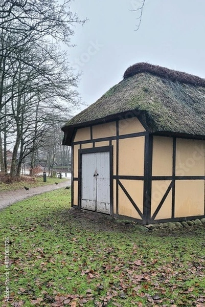 Obraz thatched cottage