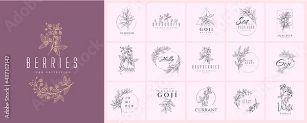 Fototapeta Different berries floral logo set. Hand drawn line wedding herb, elegant leaves for invitation save the date card. Botanical rustic trendy greenery vector set