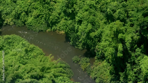 Obraz top view tropical forest landscape