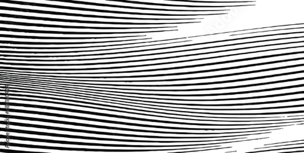 Obraz Swirled and curled stripes and brush strokes texture. Marble or acrylic atrwork imitation. Cool and swirly background. Abstract vector illustration. Black isolated on white. EPS10