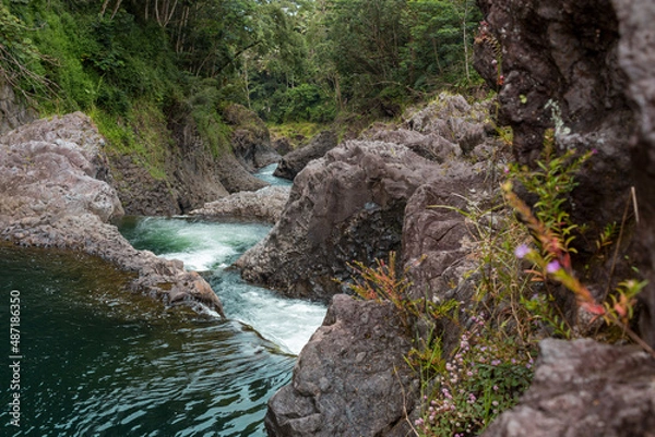 Obraz tree on the rocks