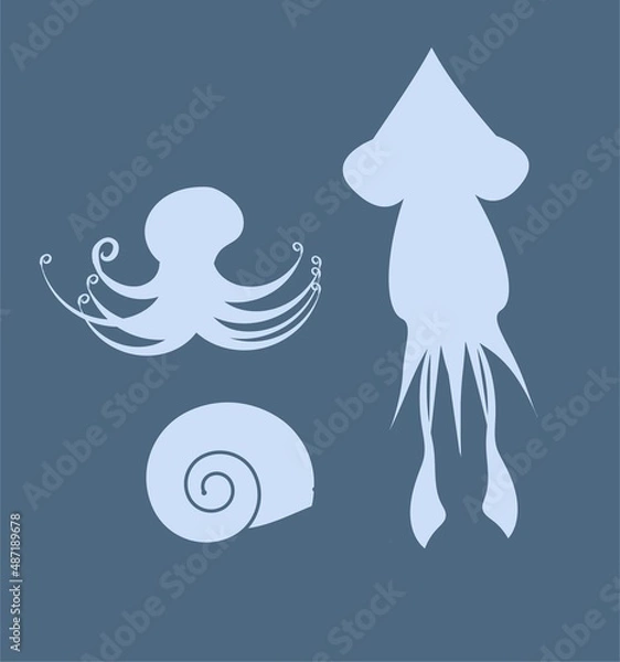 Obraz Squid, octopus and a shell.