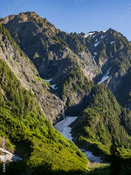 Obraz Sunrise on the mountains towering over Enchanted Valley in Olympic National Park, forest covered ridges.
