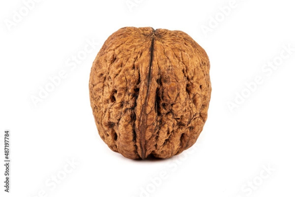 Fototapeta  Walnuts isolated on white background, on table. Macro walnuts., close up, top view.
