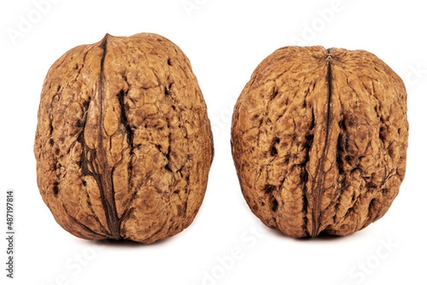 Fototapeta  Walnuts isolated on white background, on table. Macro walnuts., close up, top view.
