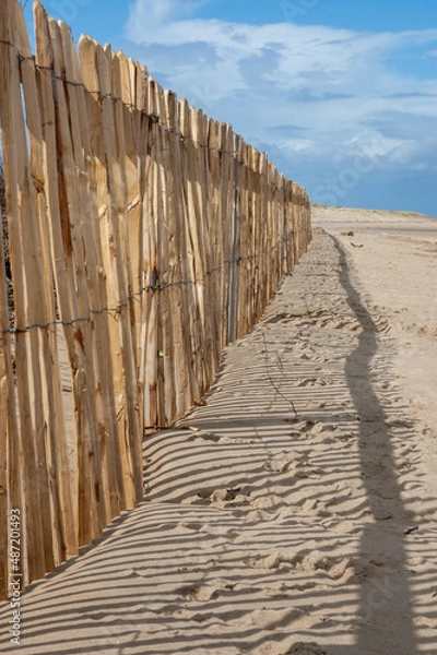 Obraz Wooden Fence on a beach in Norfolk