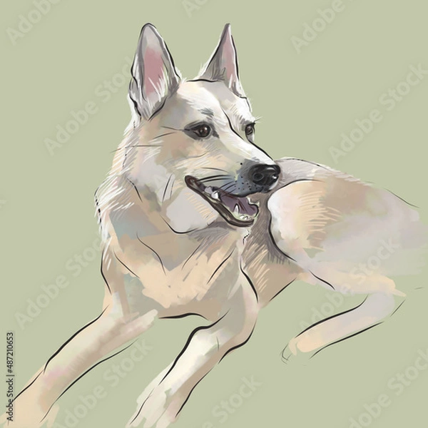 Obraz Sketch - lying dog. Digital illustration
