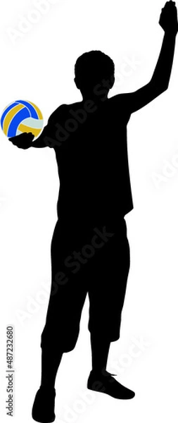 Obraz volleyball player