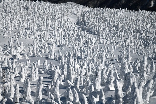 Obraz 山形蔵王樹氷ー4