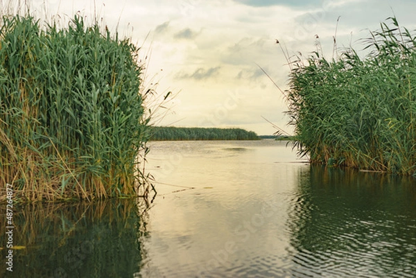 Obraz The Danube delta at sunset