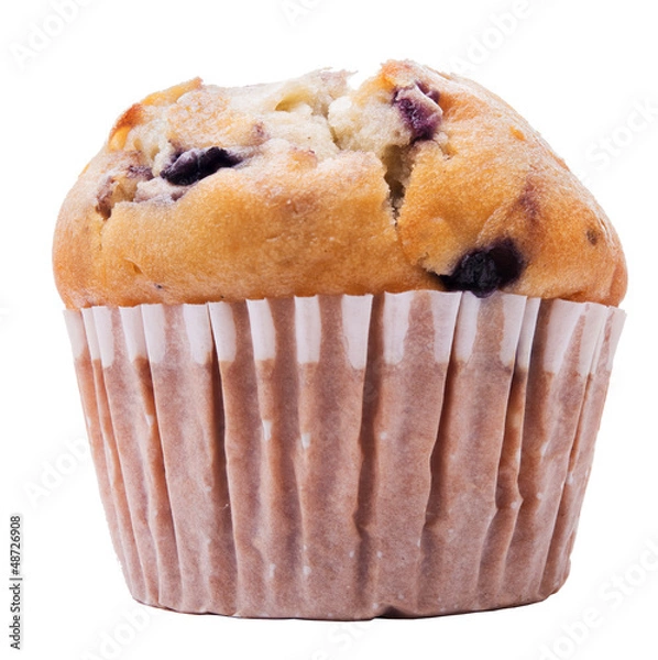 Obraz Blueberry muffin