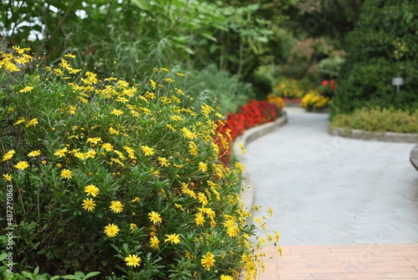 Obraz 정원처럼 거닐다