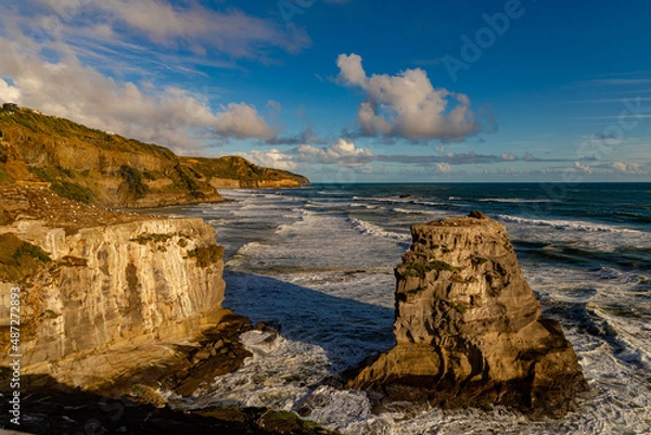 Obraz West Coast Beach