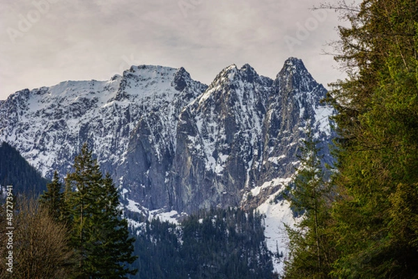 Fototapeta park state