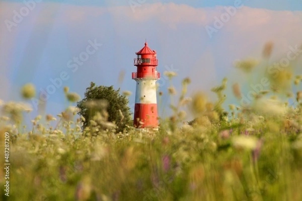 Obraz Immer den Überblick behalten