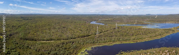 Fototapeta powerlines through the forest