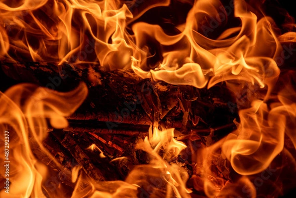 Fototapeta fire in the fireplace