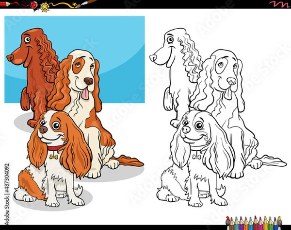 Obraz cartoon spaniels purebred dog characters coloring book page