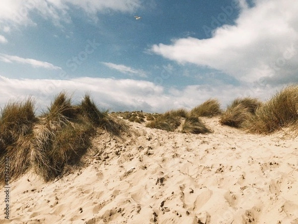Obraz Camber Sands Dunrd